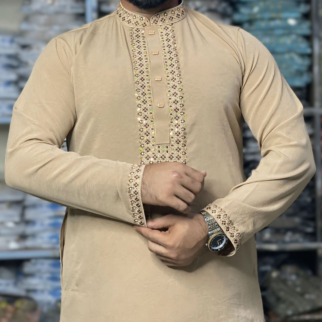 স্টিজ ভাংচুর কটন সিকুয়েন্স পাঞ্জাবি - 23